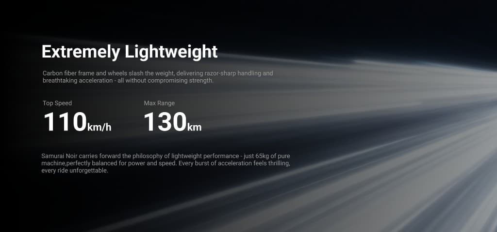 Samurai Noir introduction 3