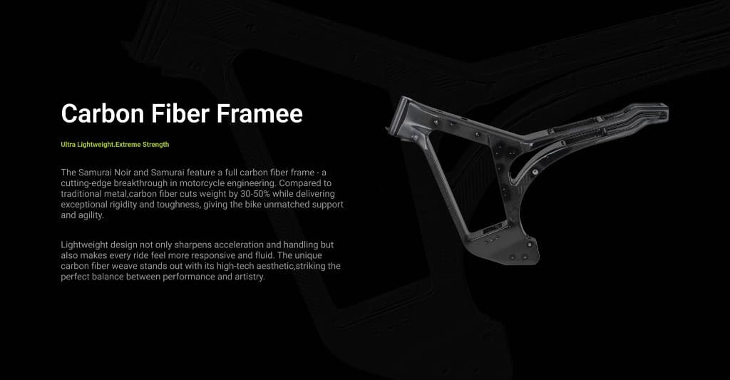 Samurai Noir introduction 5