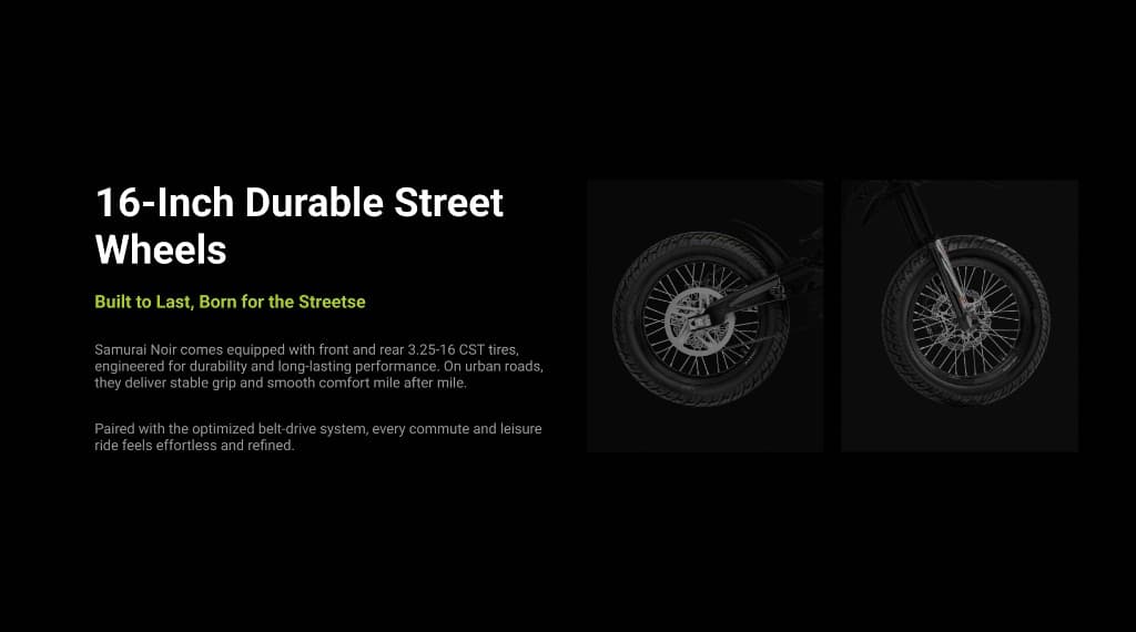 Samurai Noir introduction 9